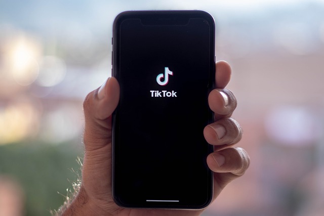 Tiktok Global Takipçi